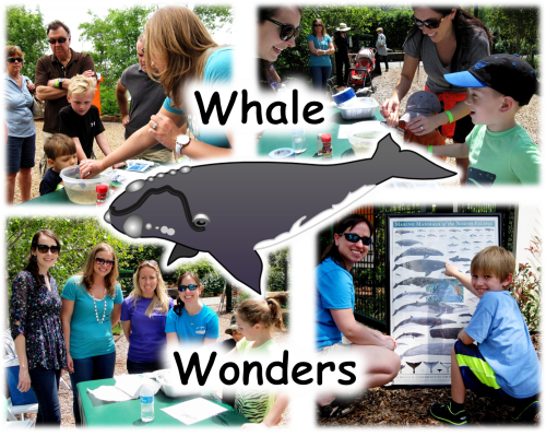 Whale Wonders_Earth Day 2015
