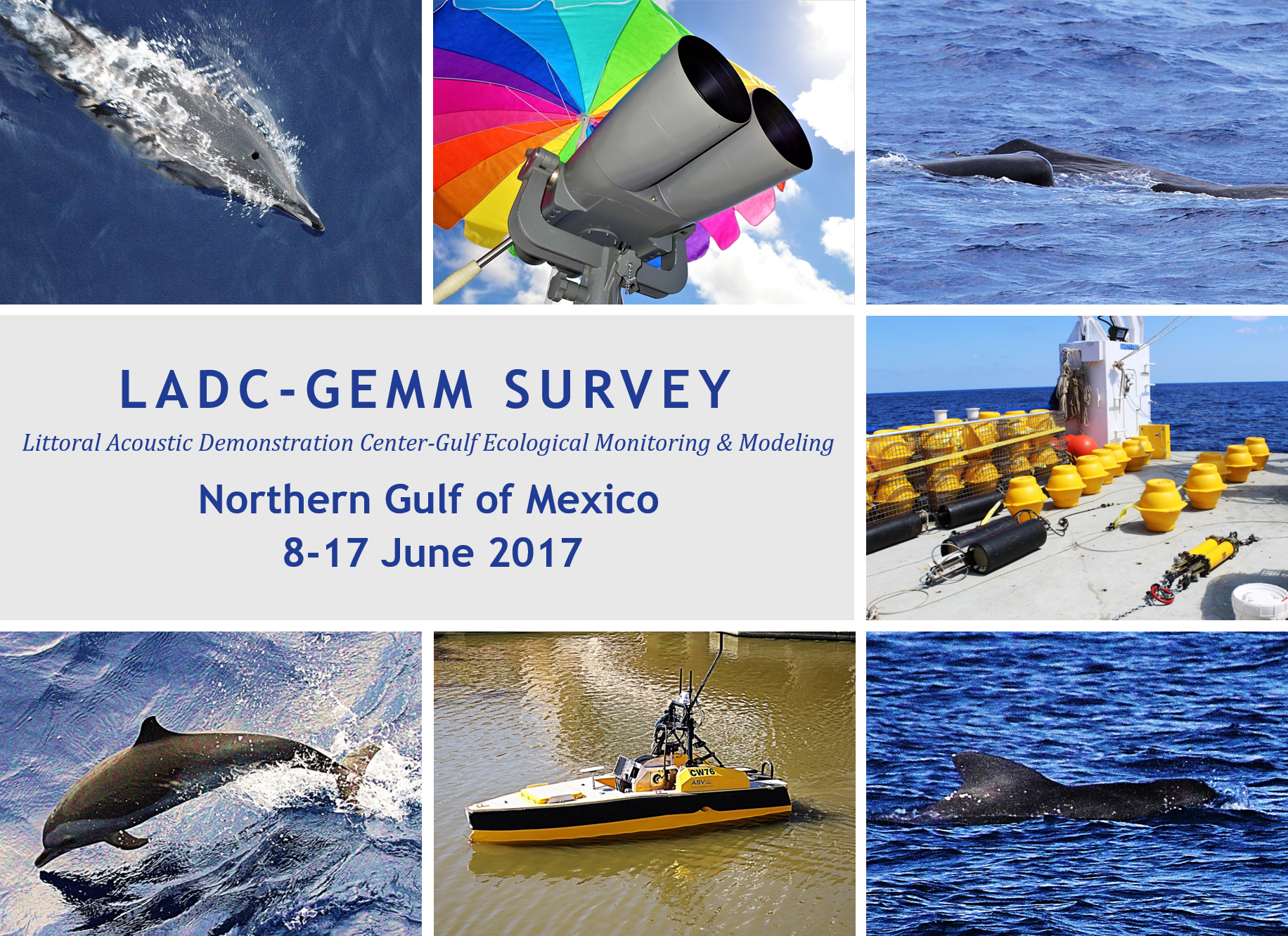 ladc-gemm-2017-survey